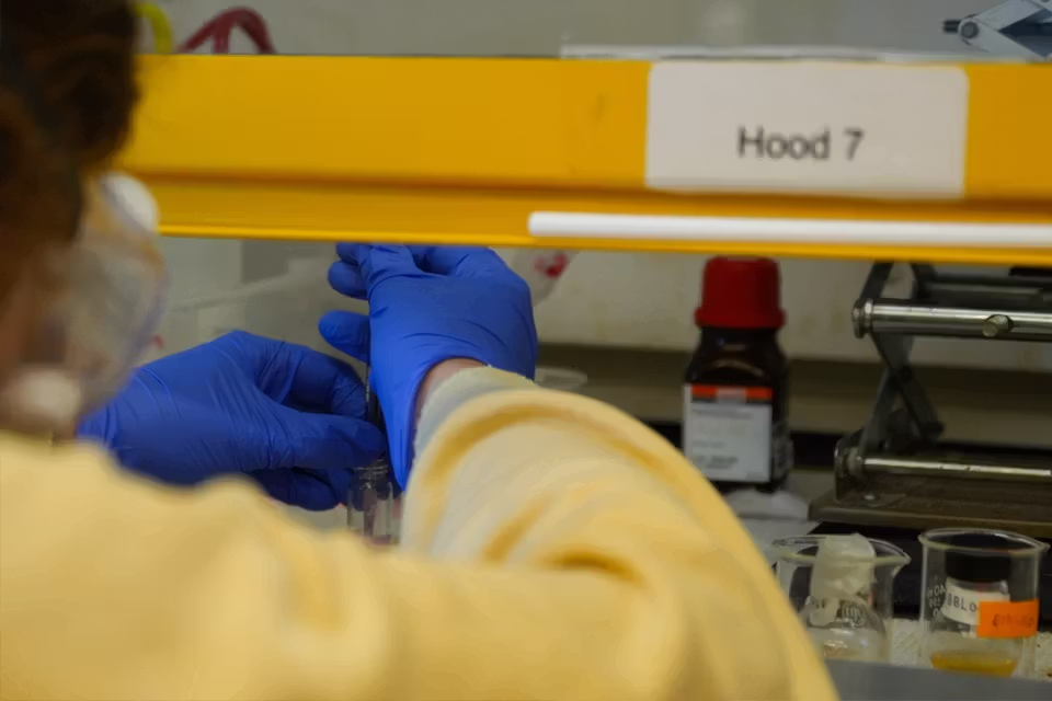 Graduate Study in Chemistry and Related Fields