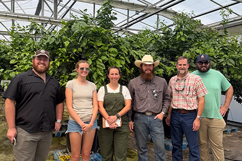 Students at the Ben Hill Griffin nursery