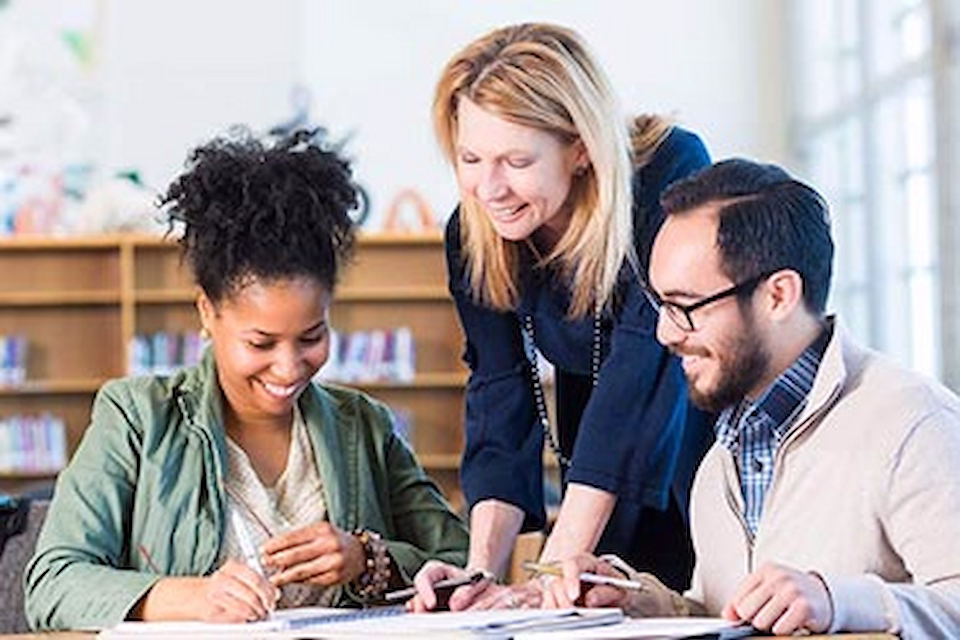 Students and Professionals meeting in library