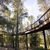 Bonnet Springs boardwalk