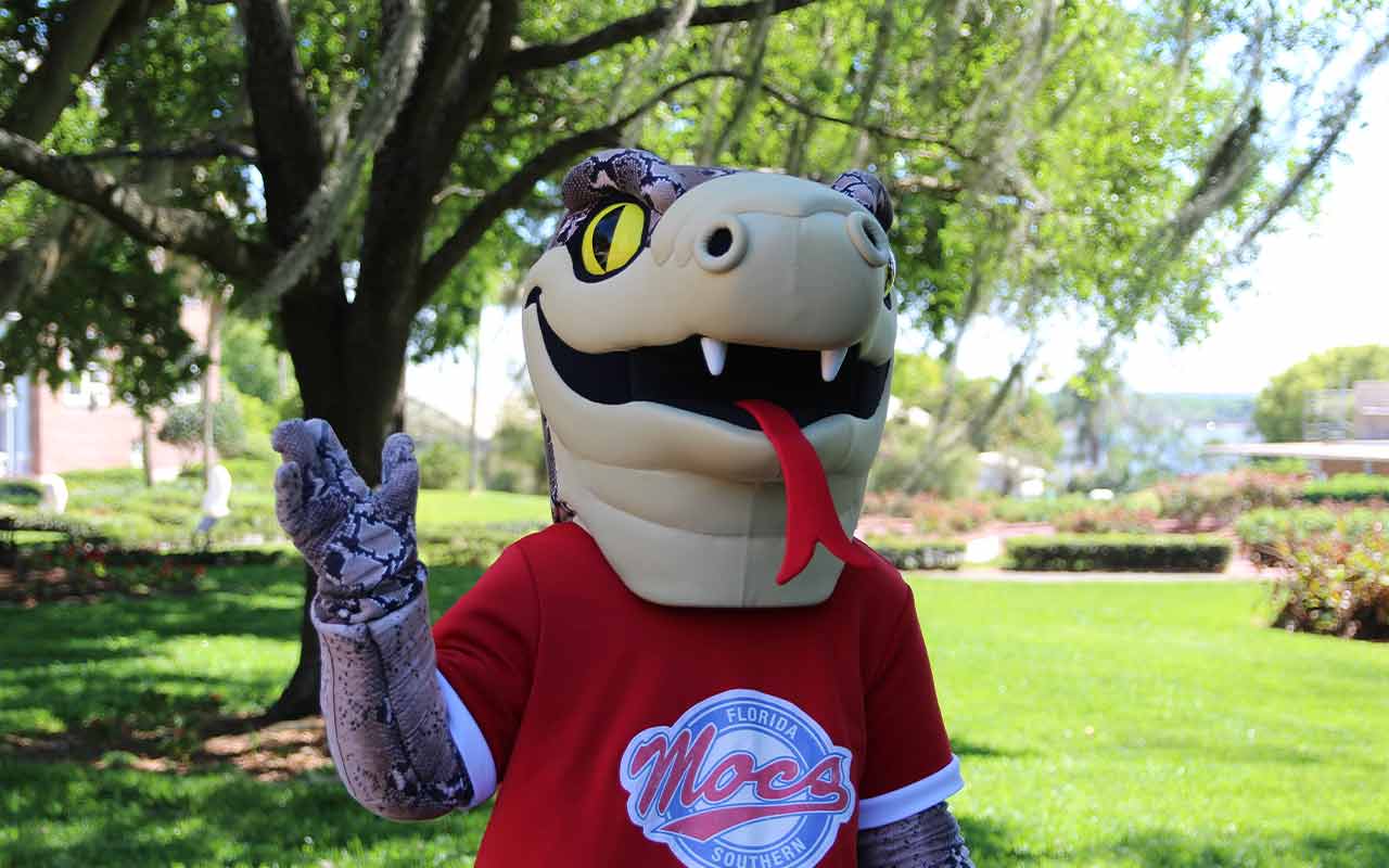 Mocsie